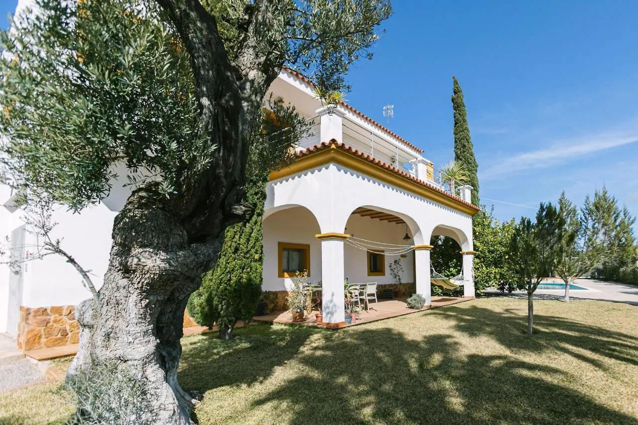 Villa Linda, Ruime Prive-Villa Met Zwembad Met Prachtige Tuin Santa Gertrudis  Spanien